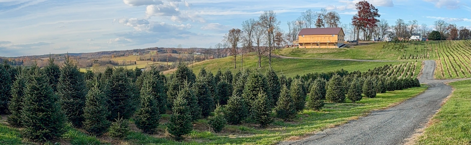 Christmas Tree Farm - Jarrettsville, MD